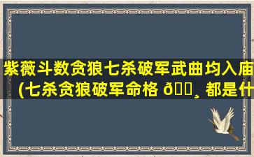 紫薇斗数贪狼七杀破军武曲均入庙(七杀贪狼破军命格 🌸 都是什么时间出生)